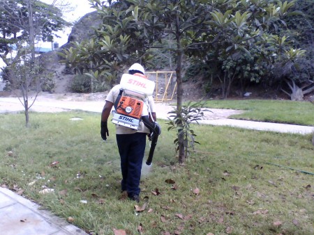 Fumigacion de Jardines 